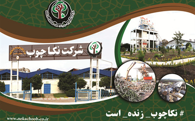 اطلاعیه شرکت نکا چوب درباره کسر حقوق پرسنل 
