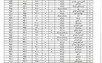 اطلاعیه فروش نهال درختان جنگلی و غیرجنگلی نهالستان های شرکت سهامی نکاچوب
