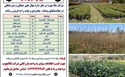 آگهی فروش انواع نهال درختان