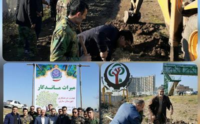 همکاری شرکت نکاچوب در نهال کاری مسیر جاده ساری قائمشهر