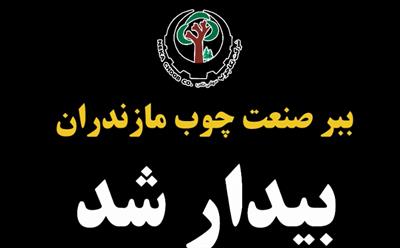 ببر صنعت مازندران بیدار شد
