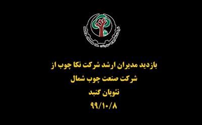 بازدید از صنعت چوب شمال 