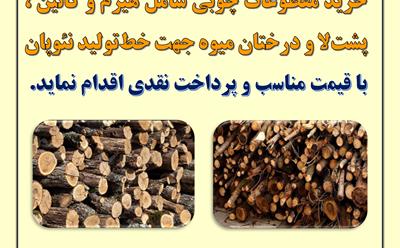 خرید مقطوعات چوبی در شرکت نکاچوب مازندران